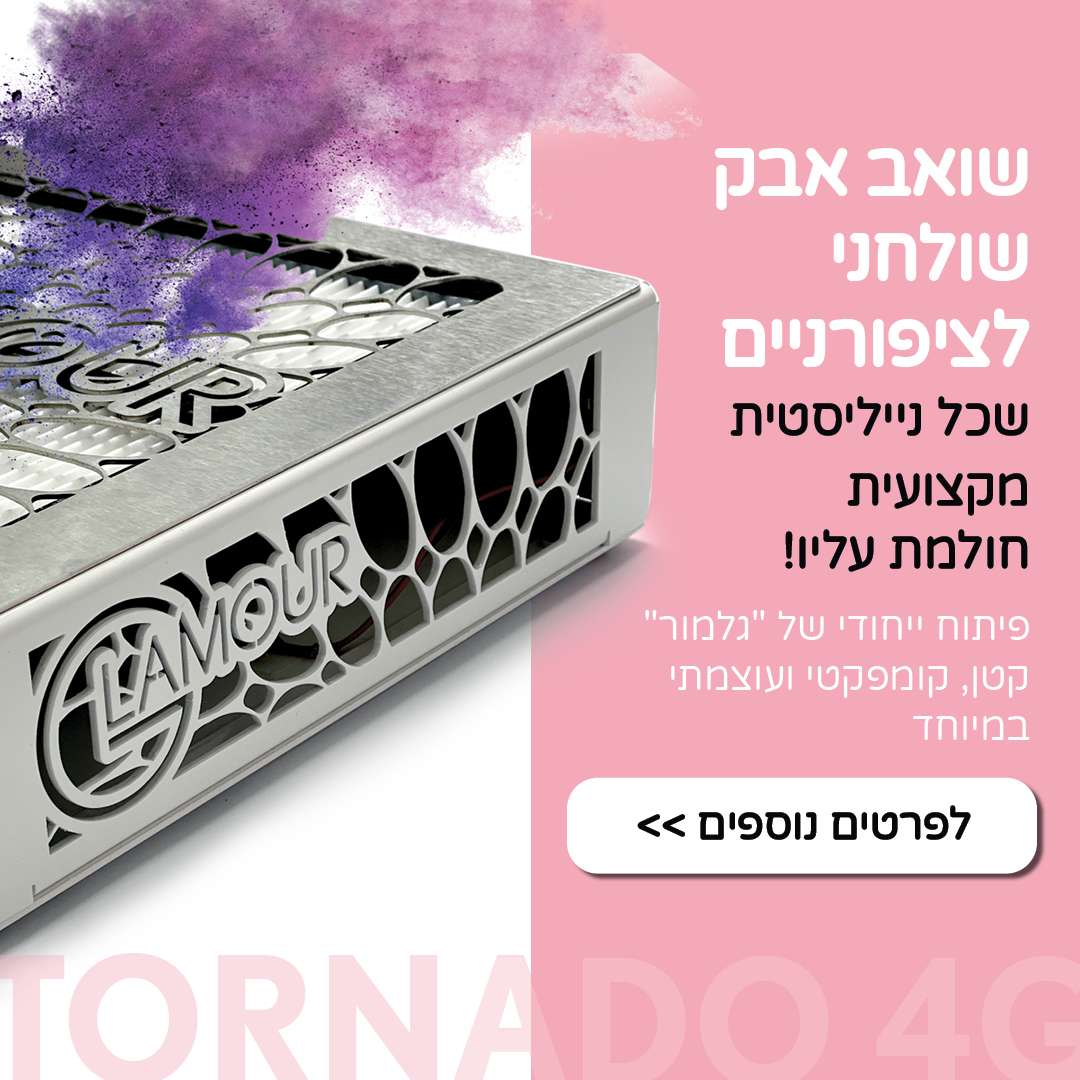 2שואב 2