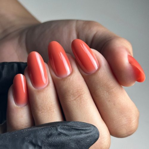 איזי בילדר 13 | Eazy Builder – ג'ל בניה מודולרי 50 מ"ל (סמיכות בינונית)